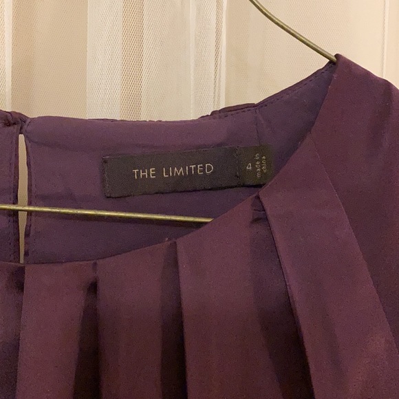 The Limited Dress - Picture 4 of 8